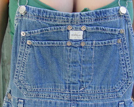 calvin klein jeans overalls